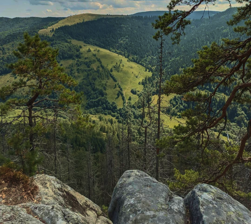 Вид з г. Костел