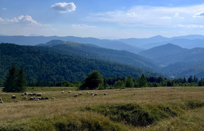 Вид з гори Рокита Велика