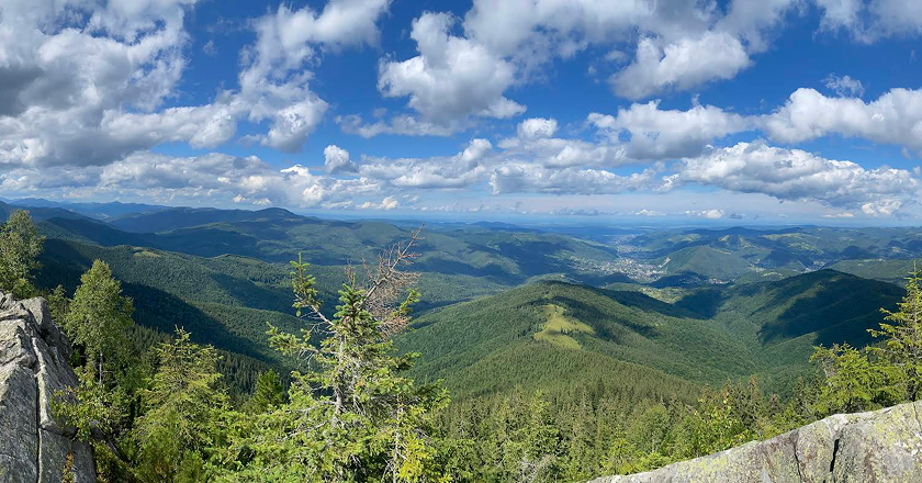 Гора Явірник-Ґорґан