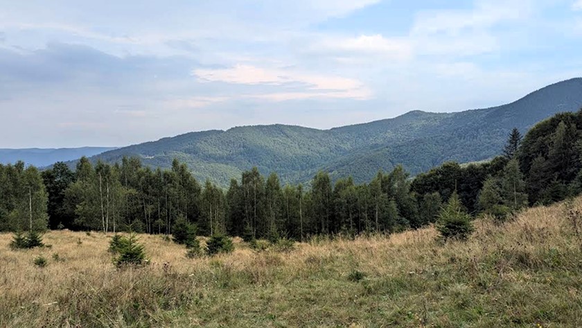 Гора Свинянка