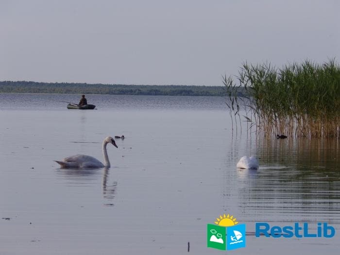 озеро Пулемецкое