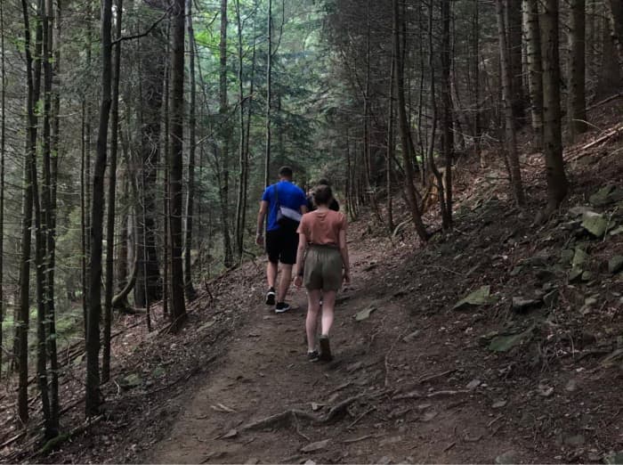 Лісова дорога на гору Хом'як