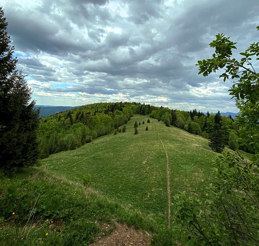 Полонина Чорногориця