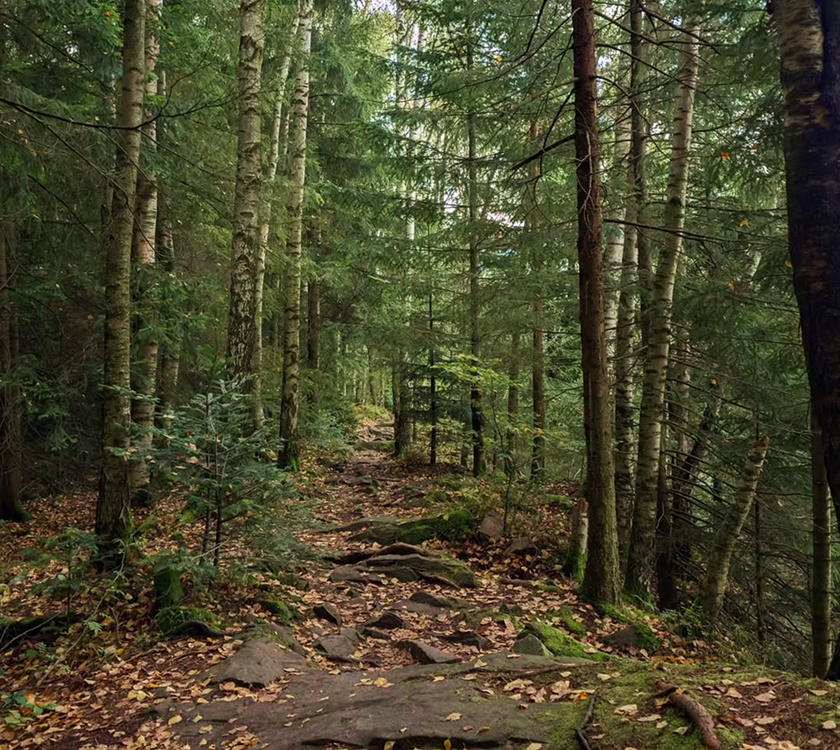 Стежка Довбуша