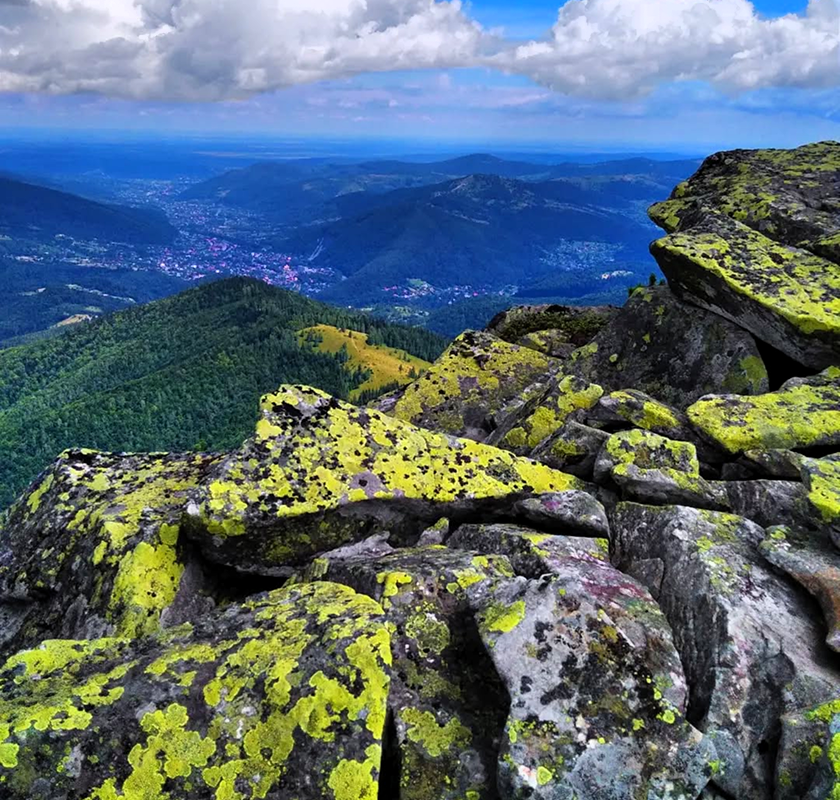 Явірник-Ґорґан Яремче