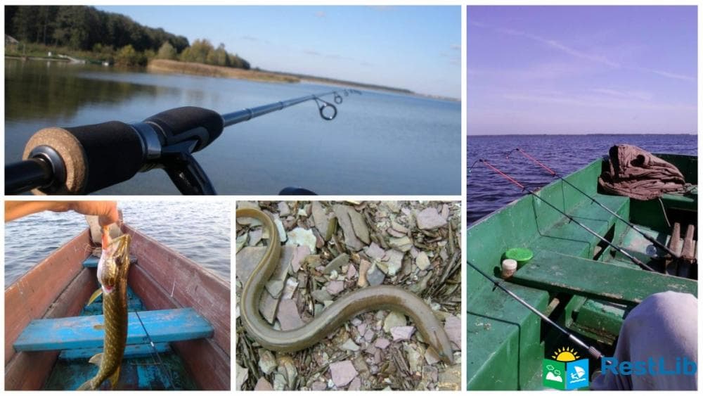 Рибалка на Шацьких озерах