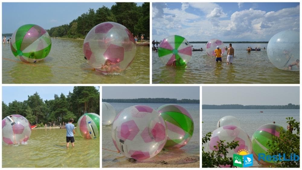 Водні шари на Шацьких озерах