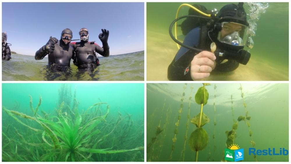 Дайвінг на Світязі