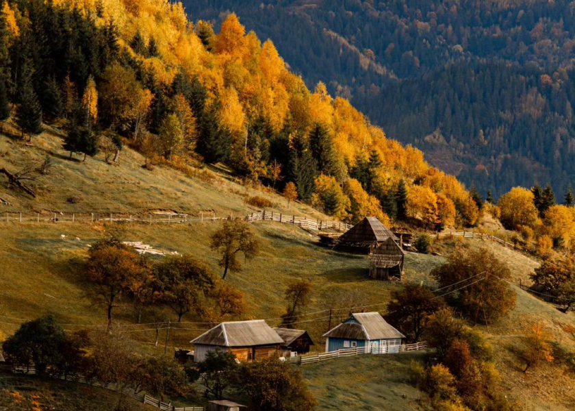 Осінь в Карпатах