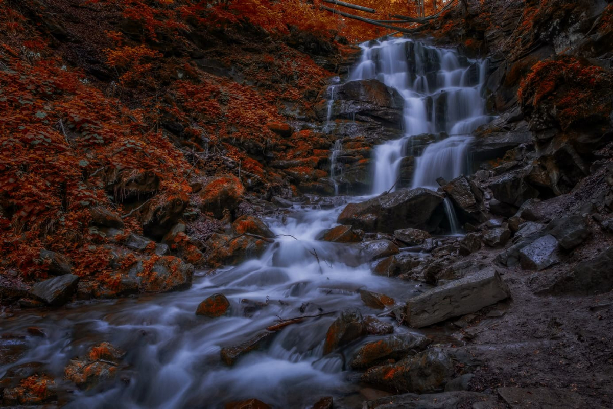 Осінній Шипіт