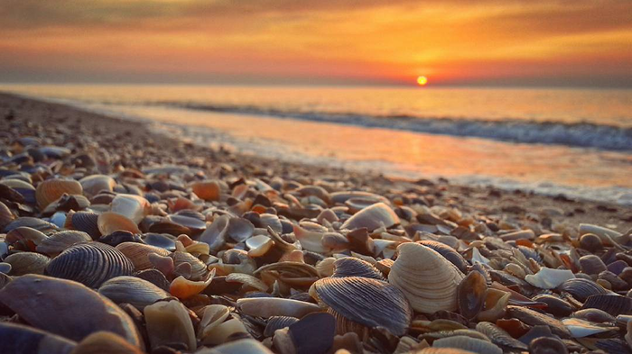 Море в Кароліно-Бугаз