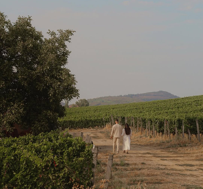 Романтична прогулянка виноградниками