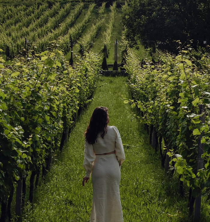 Прогулянка виноградниками