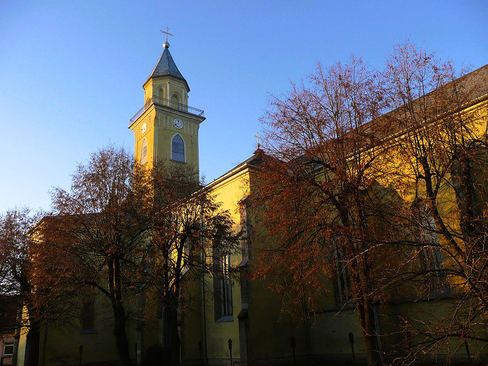 Берегове: Костел Воздвиження Святого Хреста