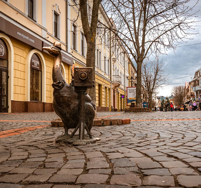 Гусак-фотограф в Мукачево