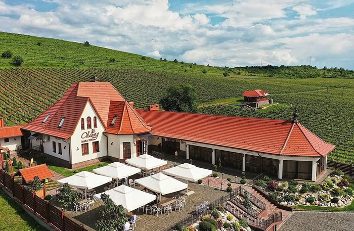 Виноградники Чизай