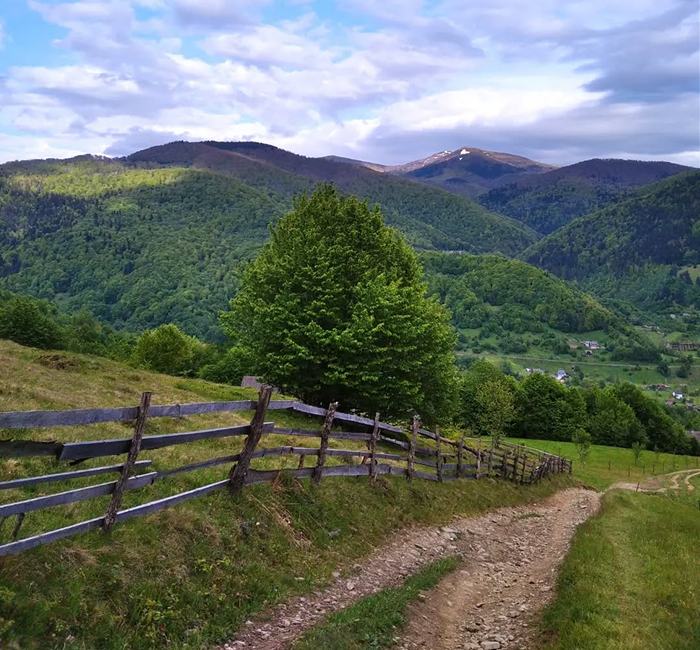 Дорогою до Квасів