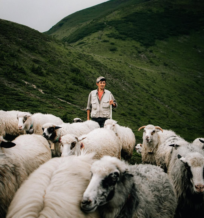 Полонина поряд з Квасами