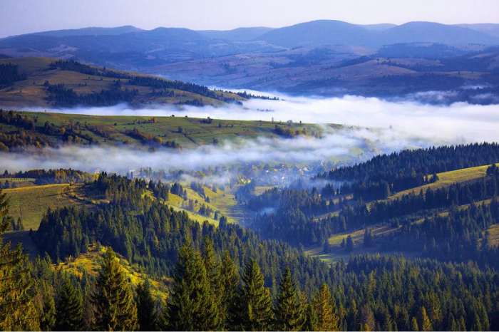 село Пилипец