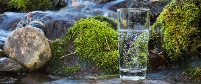 Мінеральна вода Східниці