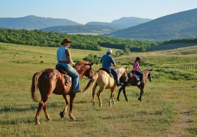 Кінні прогулянки в Славську