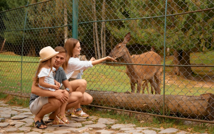 Яремче: екопарк