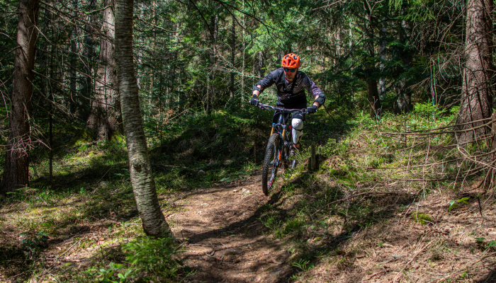Літній відпочинок в Яремче