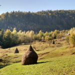 Нижня Рожанка