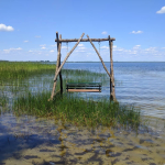 Пульмо Пульмо