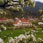 Татарів Татарів