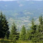 Ялинкувате