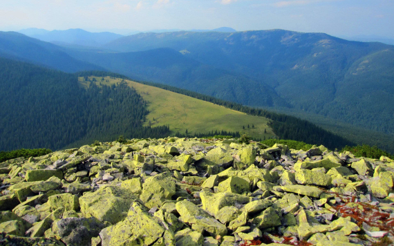 Маршрут на гору Хом'як (1542м)