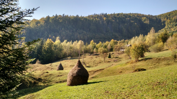 Нижня Рожанка