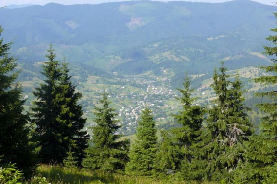 Ялинкувате