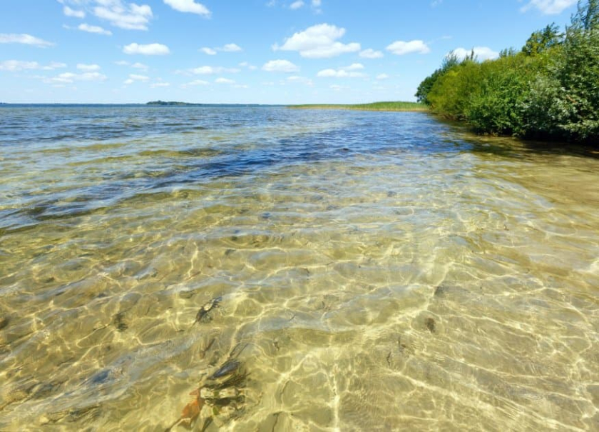 5 причин, чому вам варто поїхати на Шацькі озера