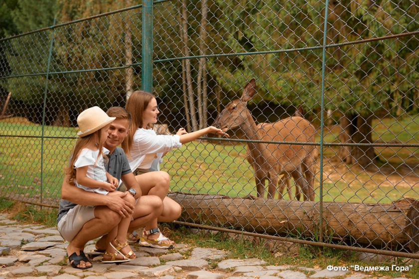 Відпочинок у Яремче з дітьми: найцікавіші місця для сімейного відпочинку