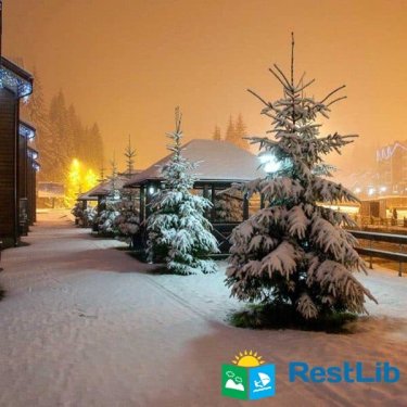 Новий Рік в Карпатах