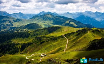 vidpochynok_v_Karpatah_litom